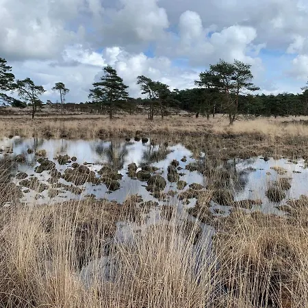 Sfeervolle 't Kapucijntje Ossendrecht, Near Antwerp 奥森德雷赫特