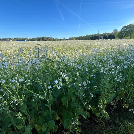 公寓 Sfeervolle 't Kapucijntje Ossendrecht, Near Antwerp